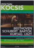 Zoltan Kocsis at La Roque D'antheron