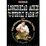 Loggerhead Acres Turtle Farm - the Alligator Snapping Turtle