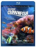 Plasma Art - Clownfish - Blu-Ray disc [Blu-ray]