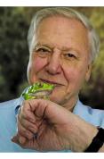 David Attenborough - The Trilogy Of Life