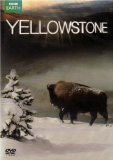 Yellowstone - Tales From The Wild