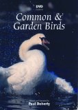 DVD Guide to Common & Garden Birds