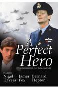 Perfect Hero
