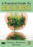 The Practical Guide To Herbs