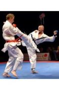 The Very Best Of Karate Clashes [DVD]