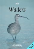 DVD Guide To Waders