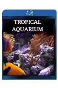 Plasma/LCD Art - Tropical Aquarium [Blu-ray]