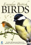 Everyday British Birds [DVD]