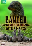Banded Brothers [DVD]