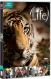 Inside Life [DVD]