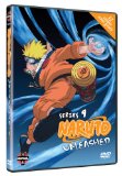 Naruto Unleashed - Series 9 - The Final Episodes [DVD] [2002]