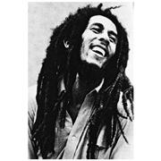 Jammin' The Story of Bob Marley & Reggae [DVD]