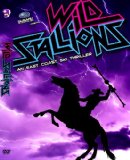 Wild Stallions DVD [Region 0] [2009]
