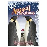 National Geographic - Animal Christmas [DVD]