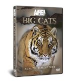 BIG CATS: Amba The Russian Tiger [DVD]
