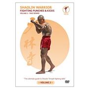 Shaolin Warrior - Fighting Punches And Kicks Vol.1 [DVD]