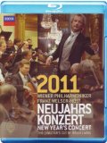 New Year's Day Concert 2011 [Blu-ray]
