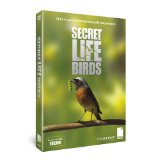 Secret Life of Birds [DVD]