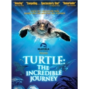 Turtle: The Incredible Journey [DVD]