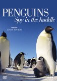 Penguin - Spy in the Huddle [DVD]