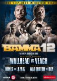 BAMMA Volume 12 [DVD]
