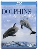 Dolphins Spy in the Pod [Blu-ray]