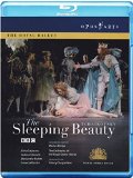 Tchaikovsky: Sleeping Beauty [Blu-ray] [2010] [Region Free]