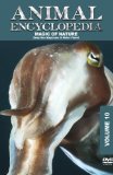 Animal Encyclopedia: Volume 10 - Deep Sea Magicians [DVD]