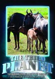 The Third Planet: The Beginnings Of Life In The Great Savannah [DVD]