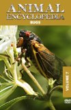 Animal Encyclopedia 7: Bugs [DVD]