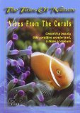 Vibes from the Corals [DVD]