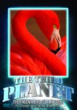 The Third Planet: The Phoenix Bird (Flamingoes) [DVD]