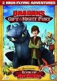 Dragons: 2 New Adventures - Gift Of The Night Fury [DVD]
