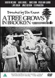 A Tree Grows In Brooklyn [DVD] (1945)