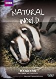 Natural World - Badgers: Secrets of the Sett [DVD] [2008]