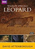 Wildlife Specials - Leopard [DVD] [2004]