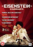 Eisenstein In Guanajuato [DVD]