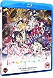 HaNaYaMaTa Complete Collection [Blu-ray]