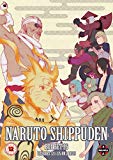 Naruto Shippuden Box 26 (Episodes 323-335) [DVD]