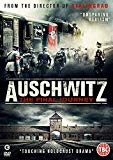 Auschwitz: The Final Journey [DVD]