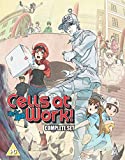 Cells At Work Collection BLU-RAY [2019]