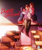 Domestic Girlfriend Collection [Blu-ray] [2020]