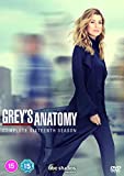 Grey's Anatomy Season 16 DVD [2020]