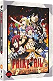 Fairy Tail Final Season - Part 25 (Episodes 304-316) [DVD]