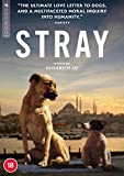 Stray [DVD] [2021]