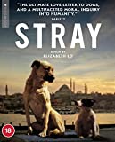 Stray [Blu-ray] [2021]