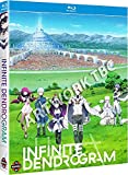 Infinite Dendrogram Complete Series Blu-ray + Digital Copy
