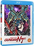 Samurai Flamenco: Complete Series (Collector's Limited Edition) [Blu-ray]