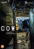 Cow [DVD] [2022]
