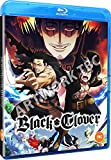 Black Clover: Season 4 [DVD]